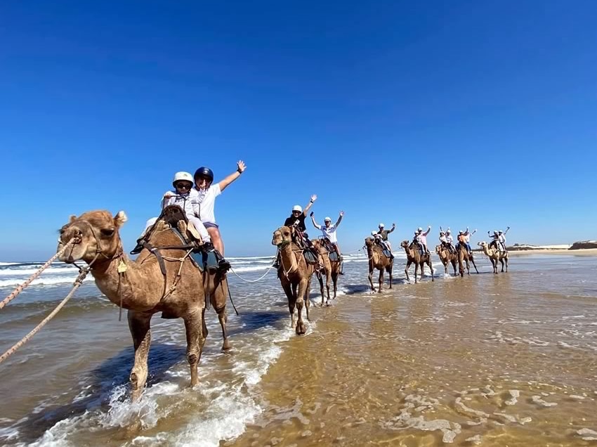 anna-bay-camel-rides-2